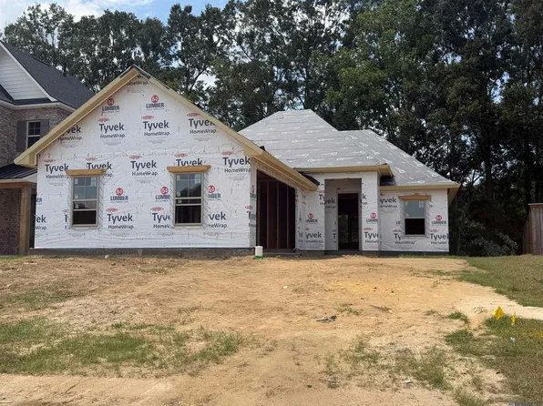 36130 Belle Parc Ave, Geismar, LA 70734