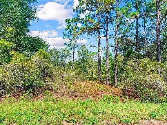 5th image of 175 FISHER LN COURT LOT 13