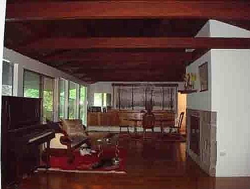 Livingroom-diningroom (and cats)