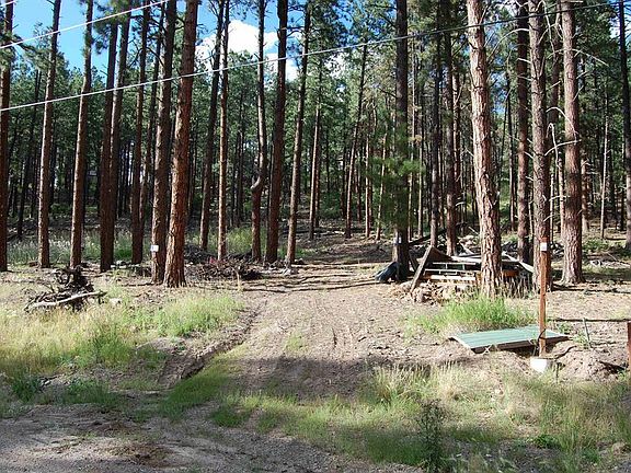 2nd image of 263 E Forest Lakes Drive