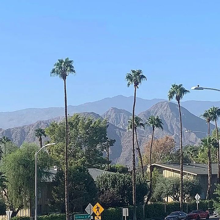 Lovely views 