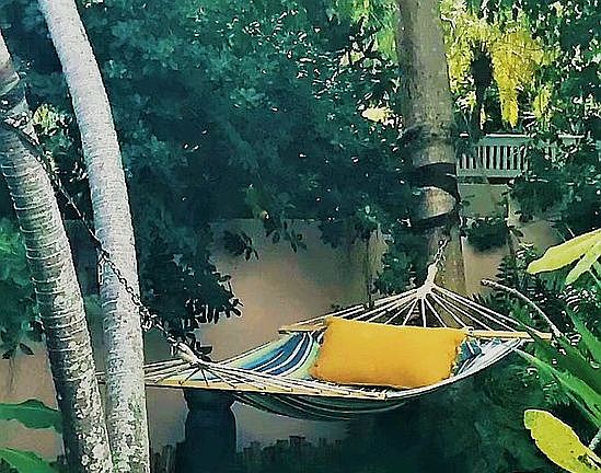 Perfect Hammock Spot