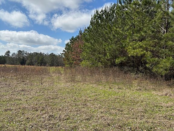 5th image of 35729 Hesters Store Rd