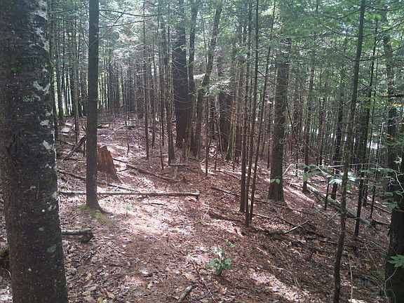 5th image of 14-257 Garfield Road #N-6 Sec2