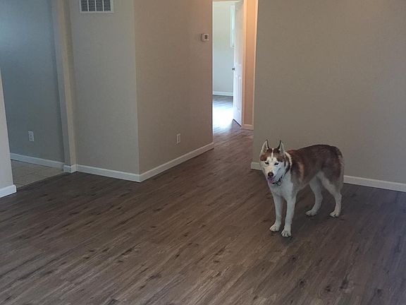 4th image of 5338 Woodbine Ave