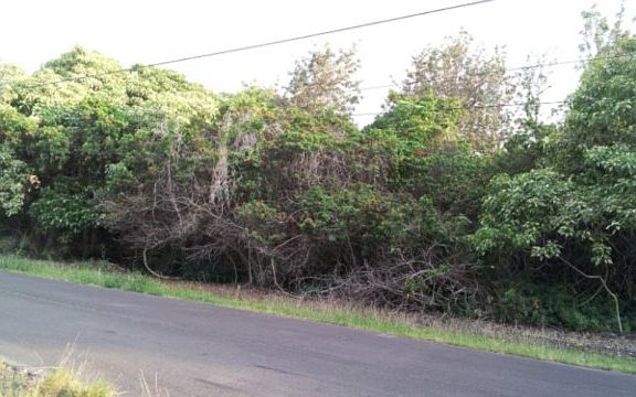 3rd image of 73-1156 Hamanamana St Lot 1