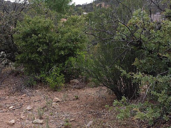 4th image of 1402 Pinon Shadow Dr