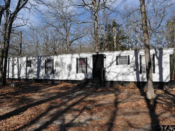 117 Little Acorn Cv, Hawkins, TX 75765