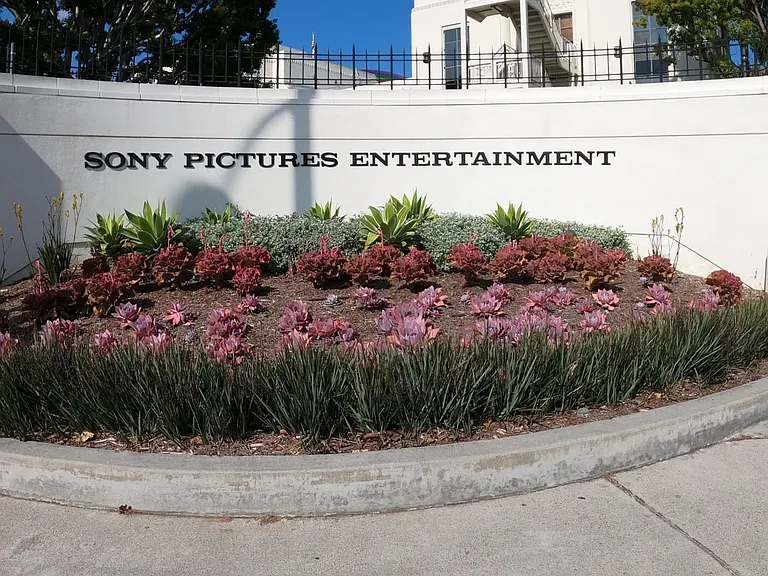 Studio View Apartment Homes — Photo 17