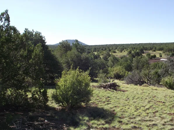 978 E Hualpai Trl #184, Williams, AZ 86046