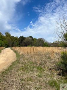 1 Brown Acres, Nash, TX, 75569