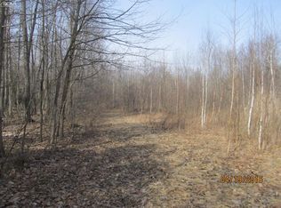 4412 Chambers Rd, Mayville, MI 48744