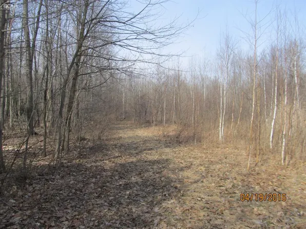 4412 Chambers Rd, Mayville, MI 48744