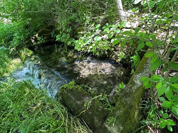 Carter Rte E #224, Grandin, MO 63943