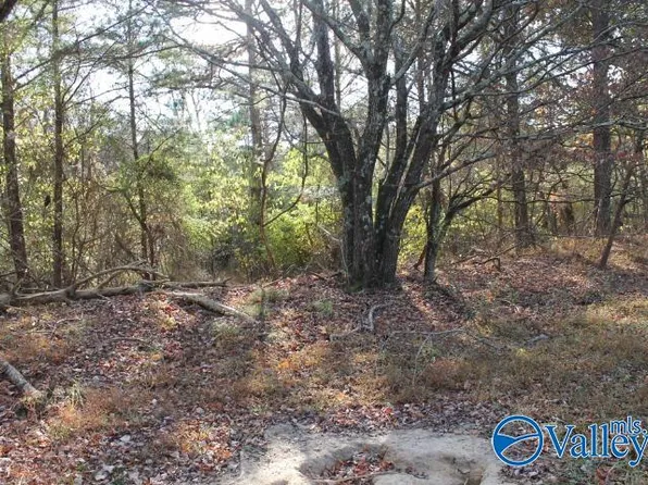 123 Jennings Rd, Fort Payne, AL 35967
