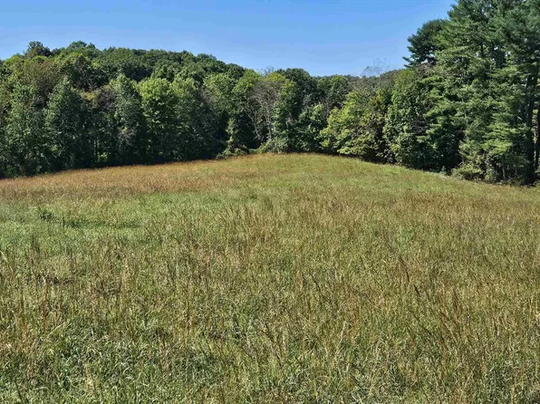 241 Briar Patch Rd, Philippi, WV 26416