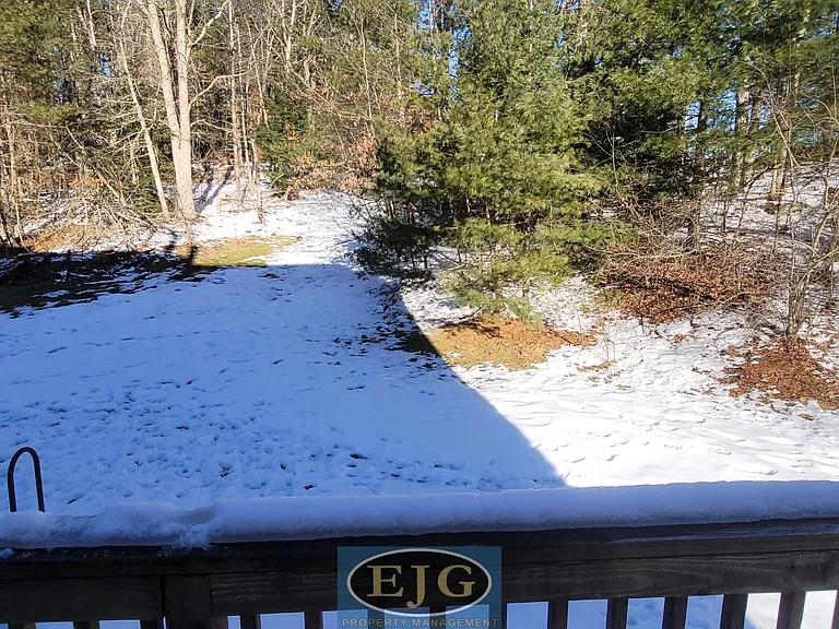 9 Blossom Ln — Photo 58