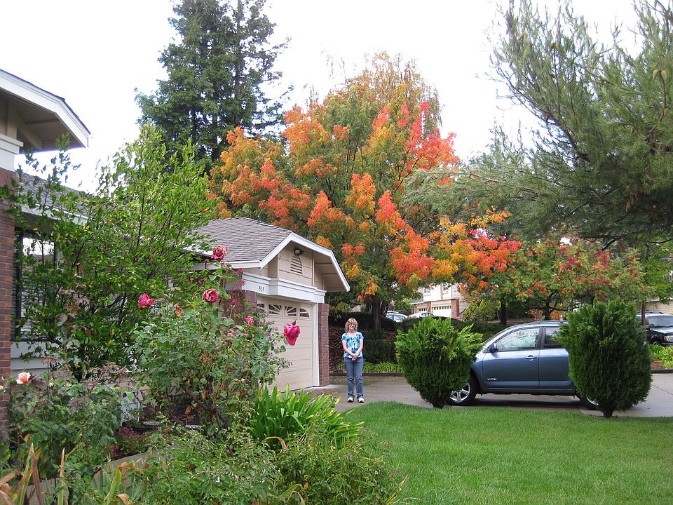 Fall