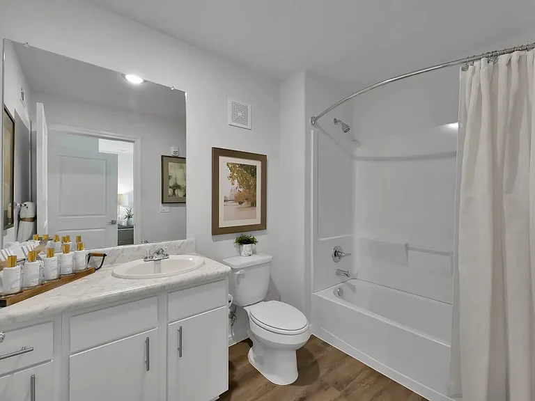 Discover the elegance of modern living at Esperanza at Wild Orchid. This beautifully designed bathroom features sleek finishes and ample space for your comfort. Experience relaxation at its finest. Schedule your tour today!