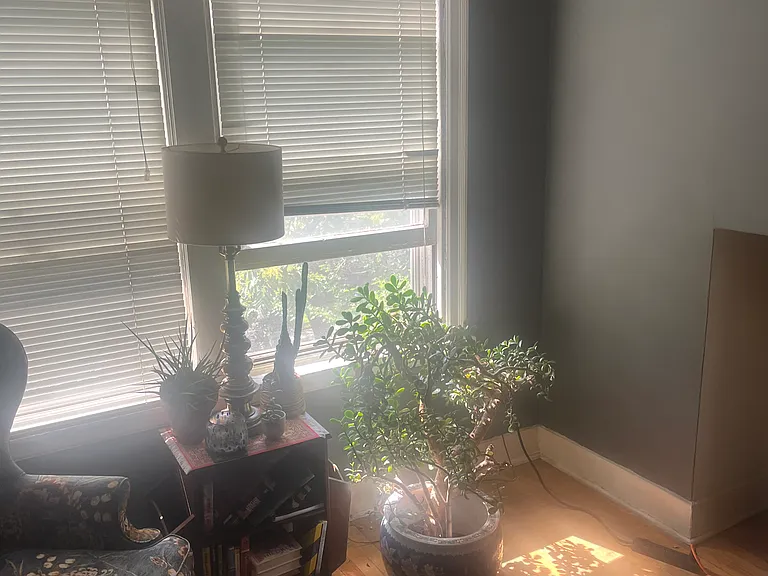 216 Madison Ave SE #3N — Photo 5