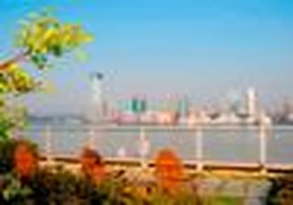 Rented by The Albanese Organization | media 23