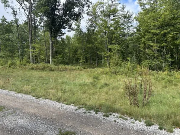 S Marlin Trl Parcel D, Mikado, MI 48745