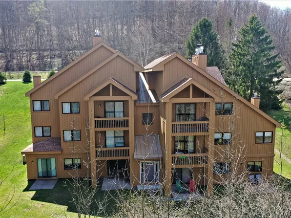 A305 Snowpine Vlg, Ellicottville, NY 14731