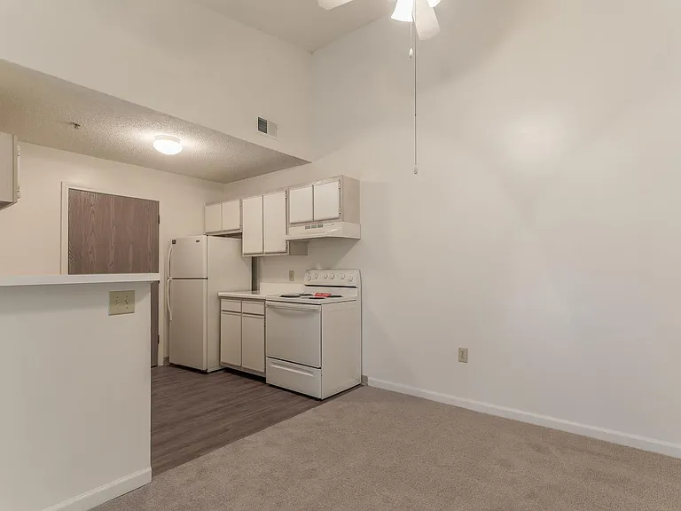 4250 Branch Bend Ln — Photo 10