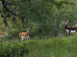 16 Summit Spring Ln, Johnson City, TX 78636