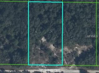 Buildingstone St, Webster, FL 33597