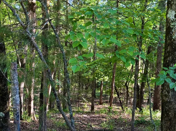 Lots 40 & Cedar Lane #41, Rockaway Beach, MO 65740