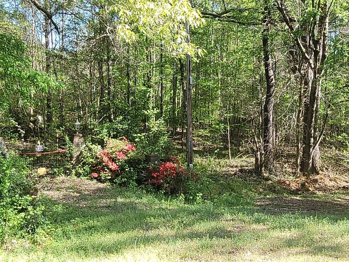 178 Jones Cir photo 1