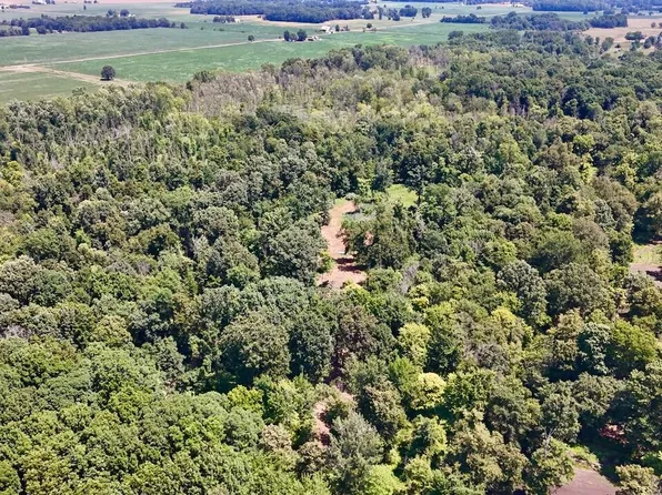 V/l N Scott Rd, Saint Johns, MI 48879