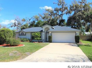 3113 Needle Palm Dr, Edgewater, FL 32141