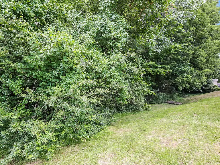 3875 Neyland Valley Dr — Photo 16