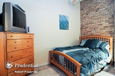5th image of 1735 N Paulina St APT 302