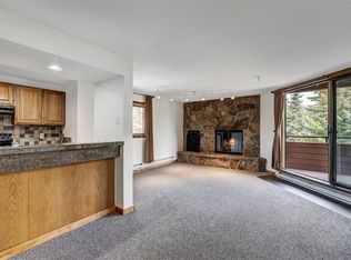 188 E La Bonte St #321, Dillon, CO 80435