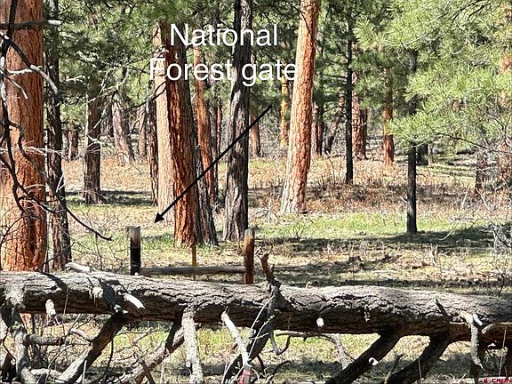 3rd image of 39 W Nebo Court