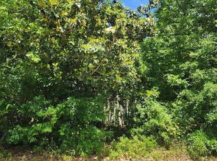 25 Liberty St, Mayesville, SC 29104