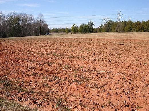 1st image of Reese Wilson Road