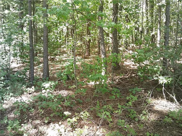 8 Acs Seacock Chapel Rd, Zuni, VA 23898