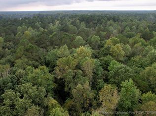 284 Irene Dr, Clarkton, NC 28433