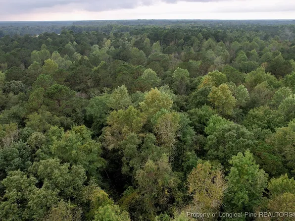 284 Irene Dr, Clarkton, NC 28433