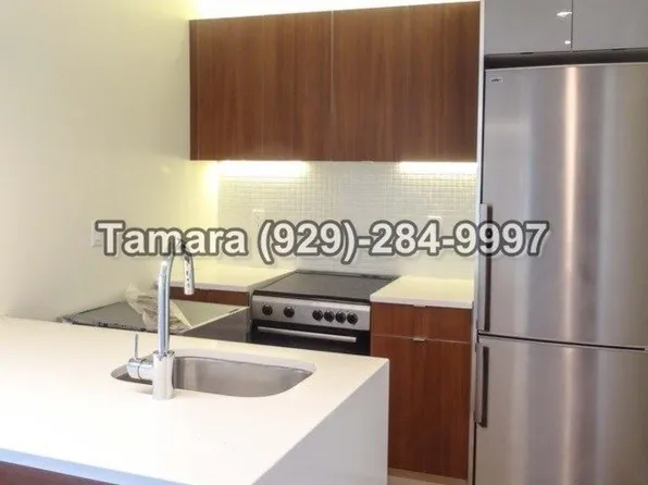 265 Albany Ave, Brooklyn, NY 11213