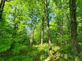 1.2 Marsh Rd #2, Erin, NY 14838