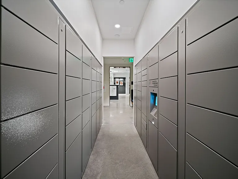 Harper — Photo 16