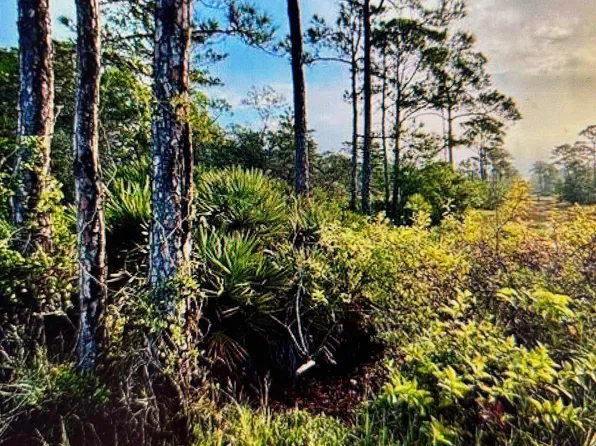 0 Gulf Crest Dr Lot 22, Gulf Shores, AL 36542