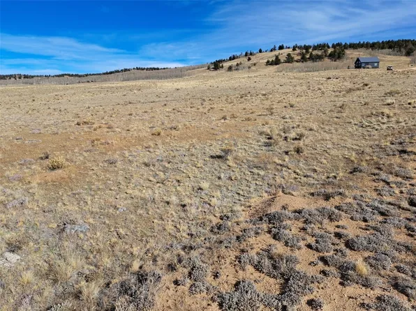 513 Night Hawk Cir, Como, CO 80432