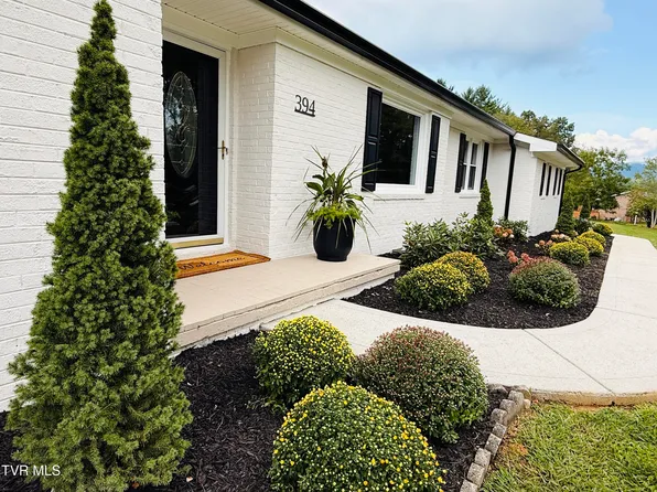 394 Cedar St, Mountain City, TN 37683
