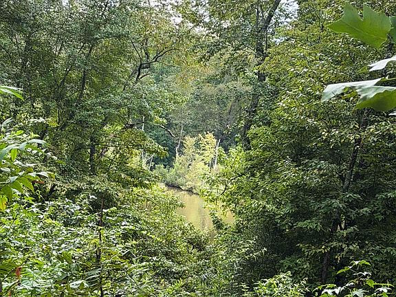 4th image of 330 Tall Oaks Trl